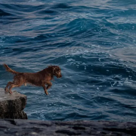 Leta Charming Cozy House With Pool