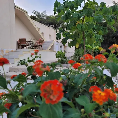Leta Charming Cozy House With Pool Appartamento Rukavac (Vis)