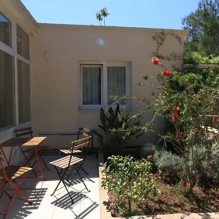 Leta Charming Cozy House With Pool Rukavac (Vis)